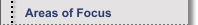 Areas of Focus